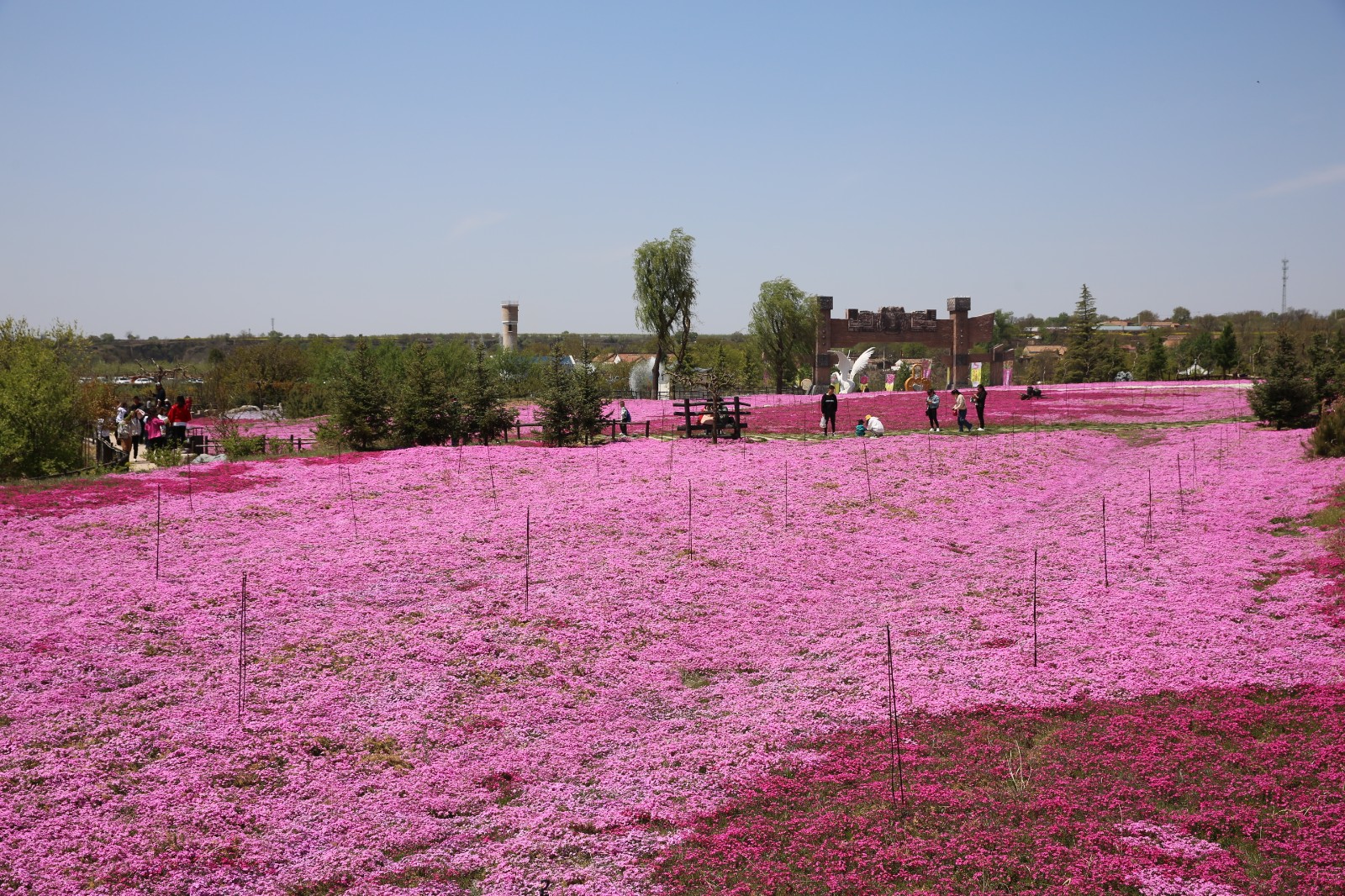 义渠百花园美景1